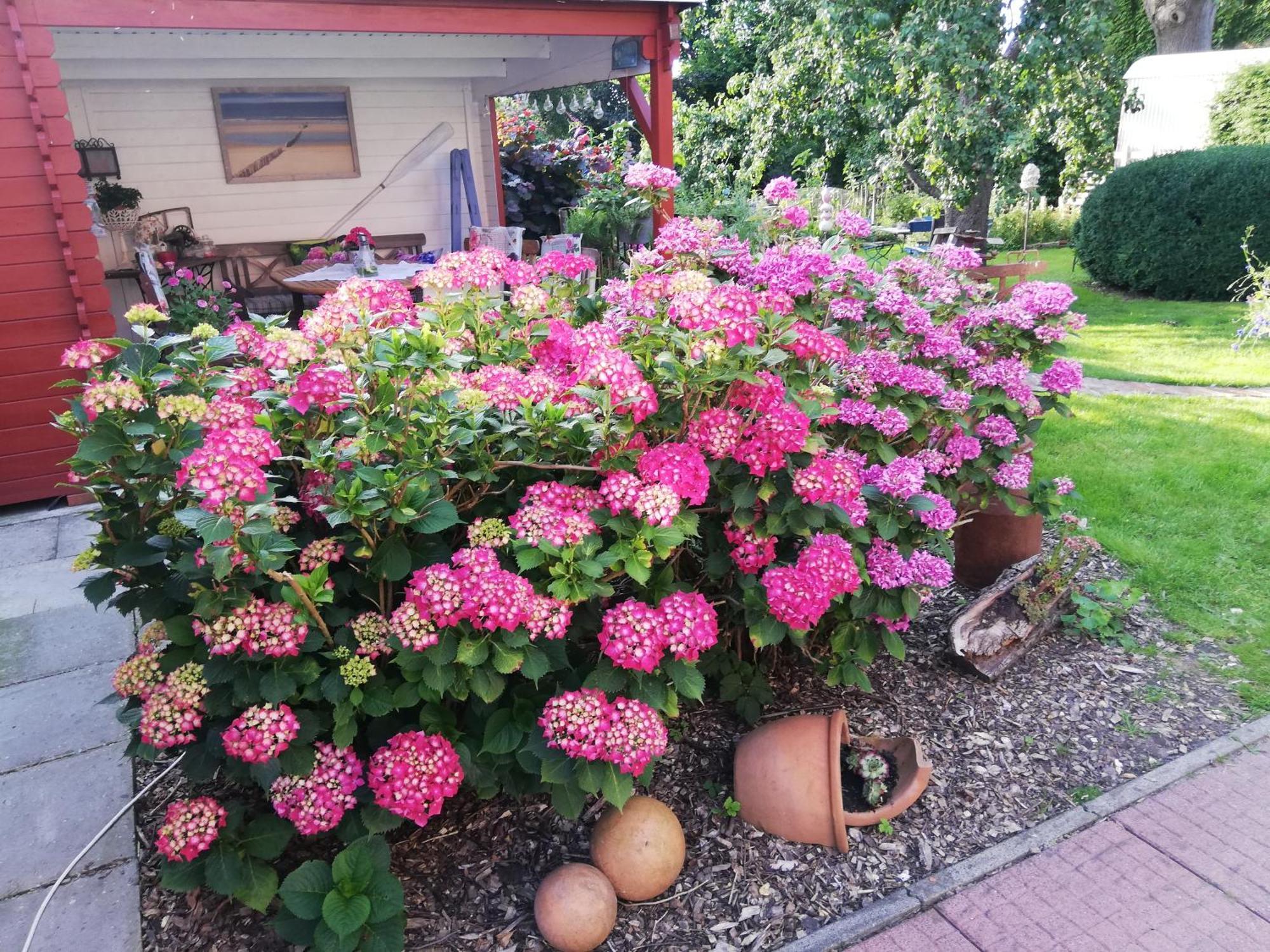 Alte Pastorei Hinte 외부 사진